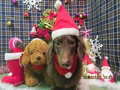 ファイル 5699-2.jpg