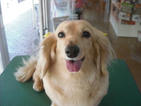 ファイル 57-1.jpg