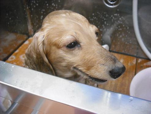 ファイル 57-2.jpg