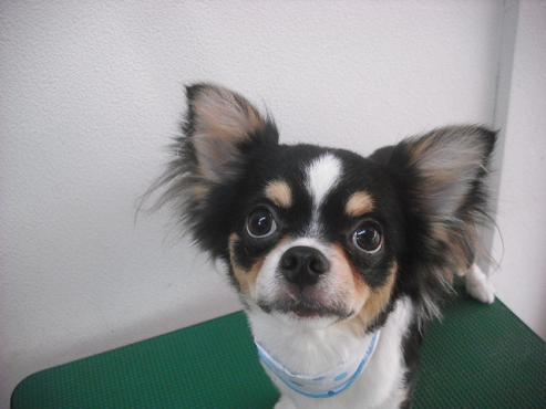 ファイル 570-1.jpg