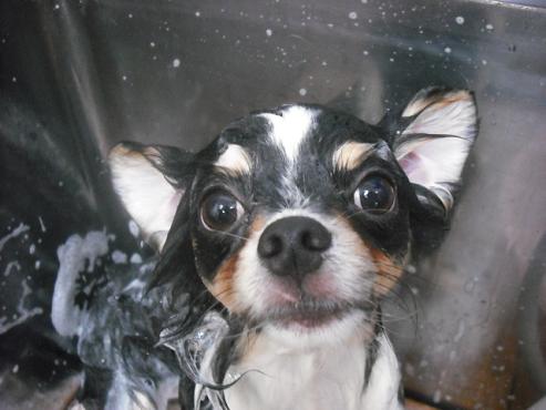 ファイル 570-2.jpg