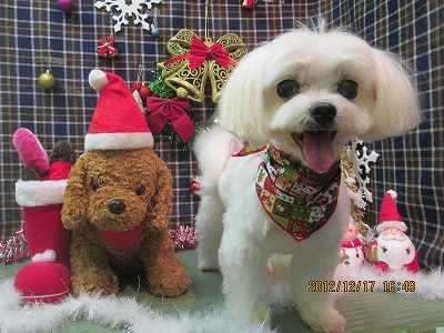 ファイル 5700-1.jpg