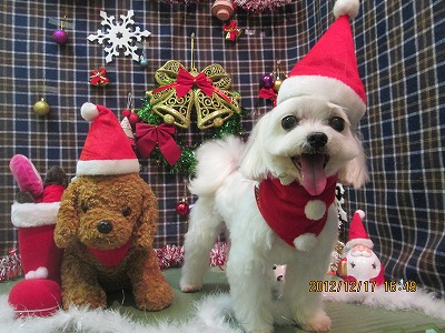 ファイル 5700-2.jpg