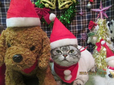 ファイル 5701-2.jpg