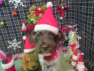 ファイル 5702-2.jpg