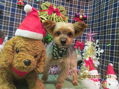 ファイル 5703-2.jpg