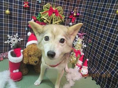 ファイル 5704-2.jpg