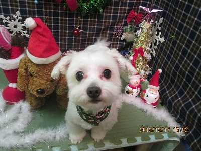 ファイル 5705-1.jpg