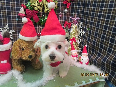 ファイル 5705-2.jpg