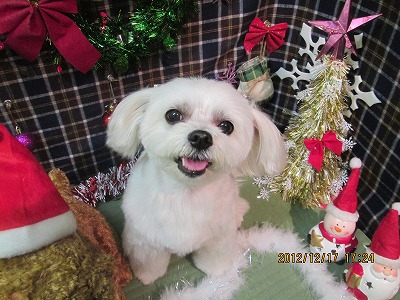 ファイル 5706-1.jpg