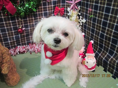 ファイル 5706-2.jpg