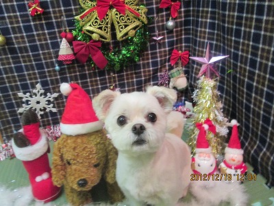 ファイル 5708-1.jpg