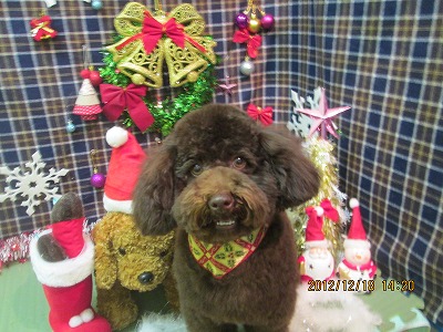 ファイル 5709-2.jpg