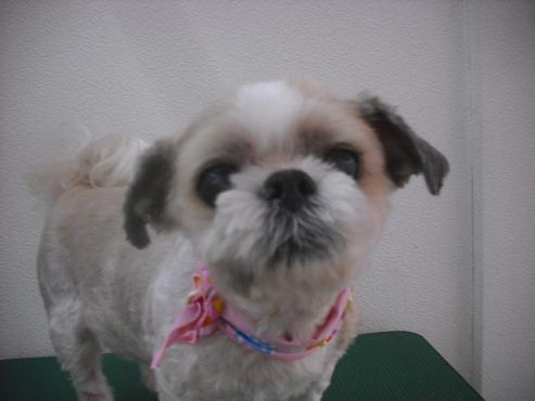 ファイル 571-1.jpg