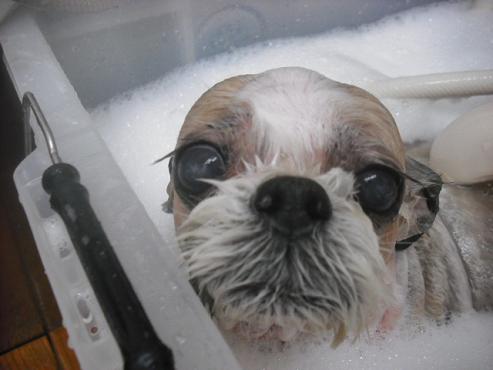 ファイル 571-2.jpg