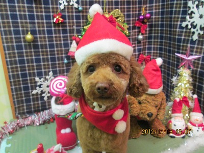 ファイル 5710-1.jpg