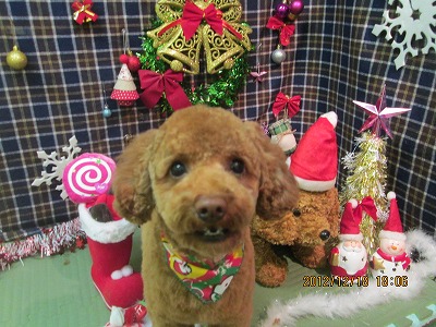 ファイル 5710-2.jpg