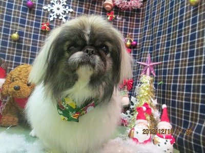 ファイル 5711-2.jpg