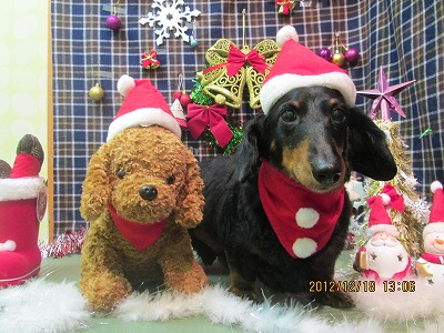 ファイル 5712-1.jpg