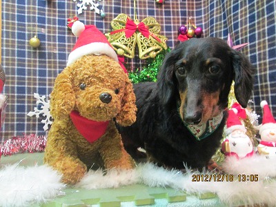 ファイル 5712-2.jpg