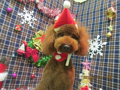 ファイル 5713-1.jpg