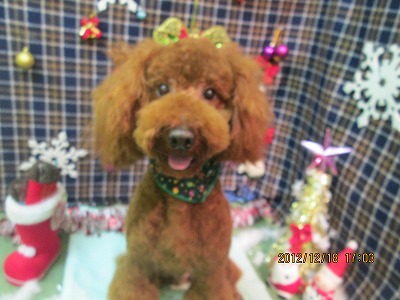 ファイル 5713-2.jpg