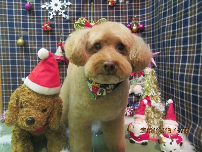 ファイル 5714-1.jpg