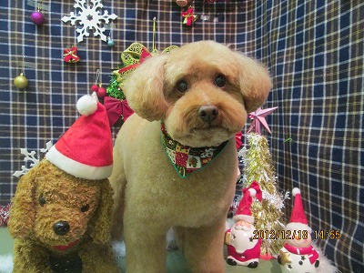 ファイル 5714-2.jpg