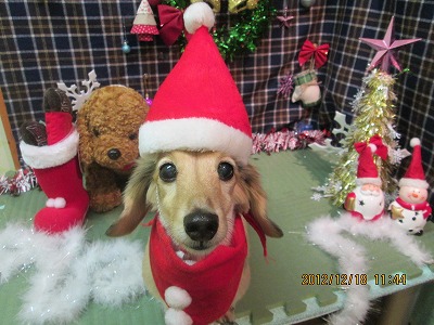 ファイル 5715-1.jpg