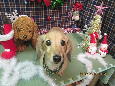 ファイル 5715-2.jpg