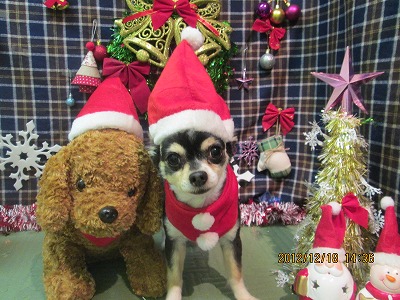 ファイル 5716-1.jpg