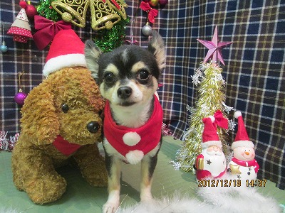 ファイル 5716-2.jpg