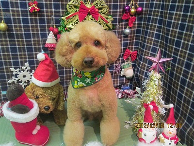 ファイル 5717-1.jpg