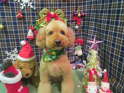 ファイル 5717-2.jpg