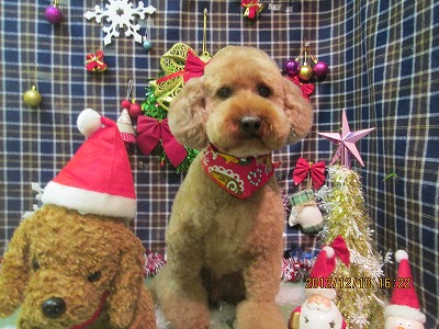 ファイル 5718-2.jpg