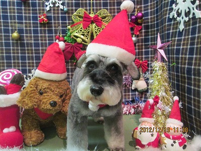 ファイル 5719-1.jpg