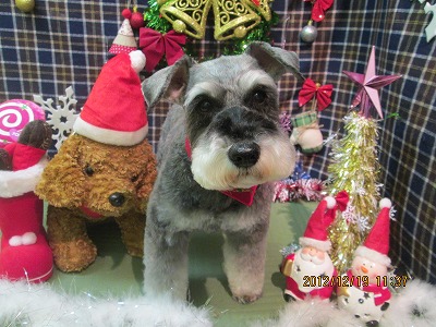 ファイル 5719-2.jpg