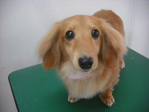 ファイル 572-1.jpg