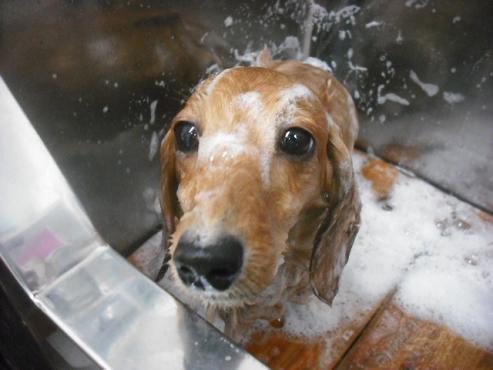 ファイル 572-2.jpg