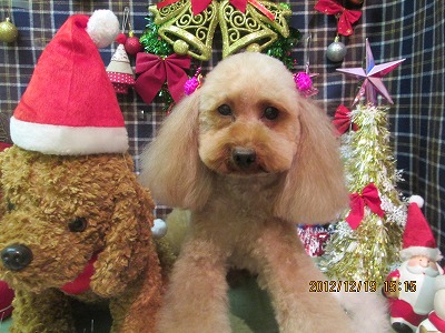 ファイル 5720-1.jpg