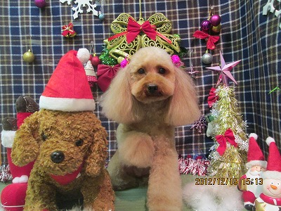 ファイル 5720-2.jpg