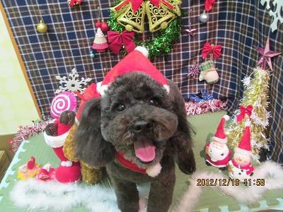 ファイル 5722-1.jpg