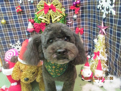 ファイル 5722-2.jpg