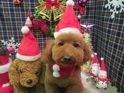 ファイル 5723-1.jpg