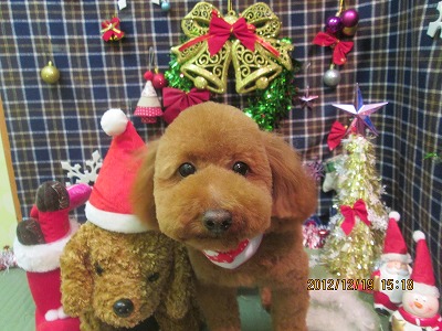 ファイル 5723-2.jpg