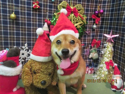 ファイル 5724-1.jpg