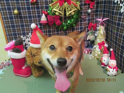 ファイル 5724-2.jpg