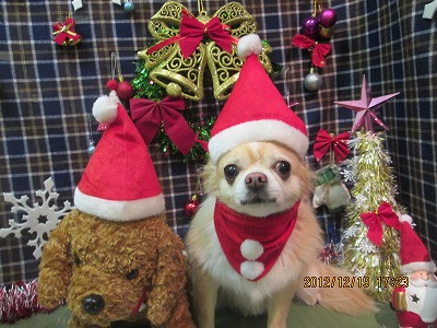 ファイル 5725-1.jpg