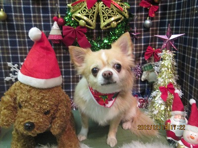 ファイル 5725-2.jpg