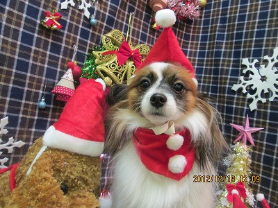 ファイル 5726-1.jpg